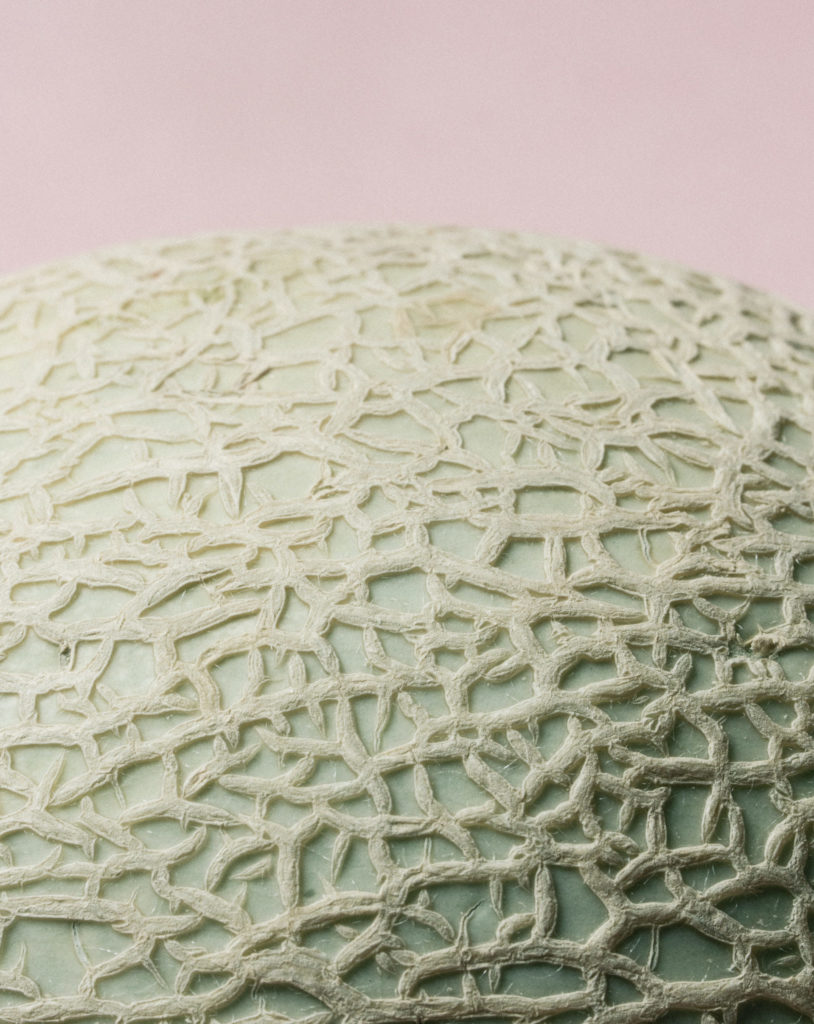 melon with pink background